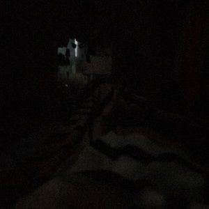 Meet your Posher, Dave